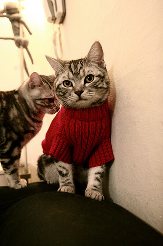 国际热身赛国足战胜 球员技术提升明显，国足热身赛取胜